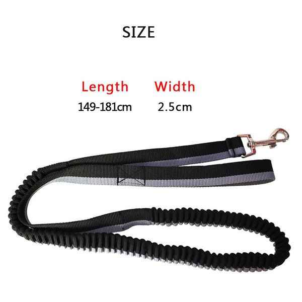 Safety Dog Leashes Pet Leads Walking, Training Elastic Rope for Dogs