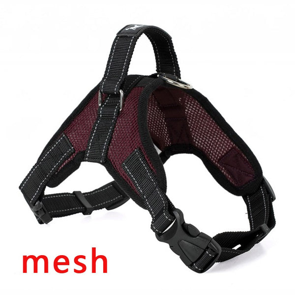 Dog Chest Harness with Handle for Small to Large Dogs, Multicolor