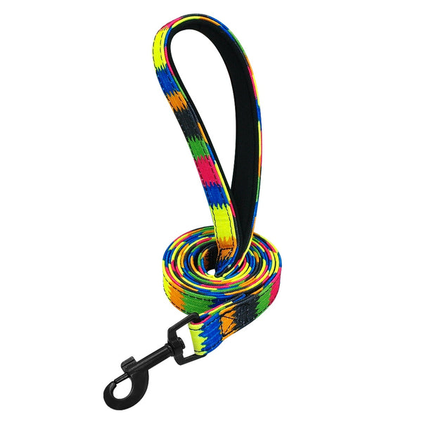 Colorful Pattern Design Printed Nylon Dog Leash - 4ft/1.2m