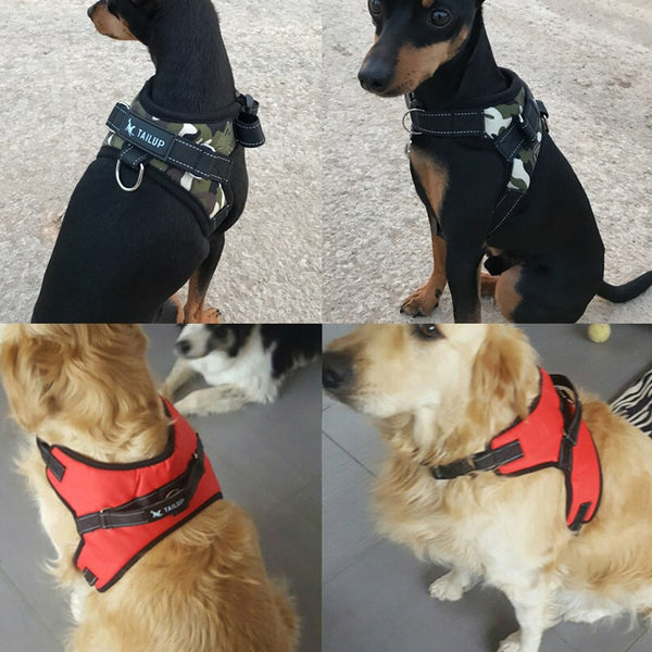 Dog Chest Harness with Handle for Small to Large Dogs, Multicolor
