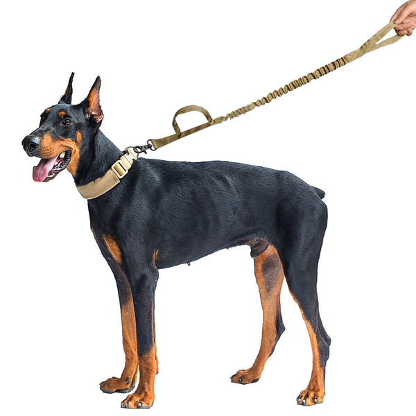 Military Style Tactical Dog Leash Nylon Bungee Training Leashes