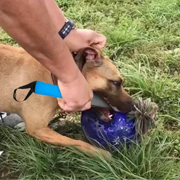 Bite Break Stick Professional No Bite Tool for Training Dogs