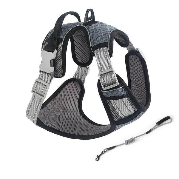 Breathable Mesh Dog Harness Reflective Pet Vest Harnesses with Leash