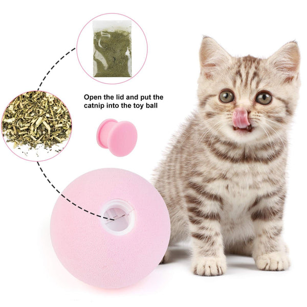 Interactive Ball Toy for Cats with Sounds, Fillable with Catnip