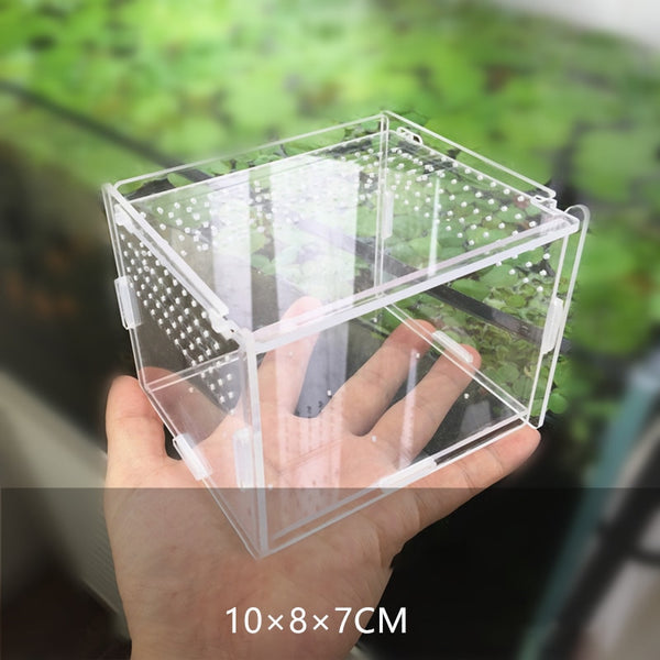 Transparent Acrylic Reptile Breeding Box Various Sizes