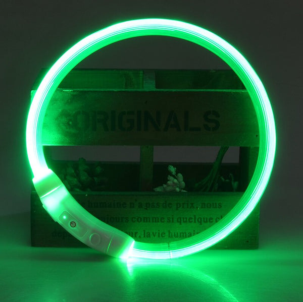LED Light Up USB Rechargeable Dog Collars, Luminous Night Collar - 8 Color