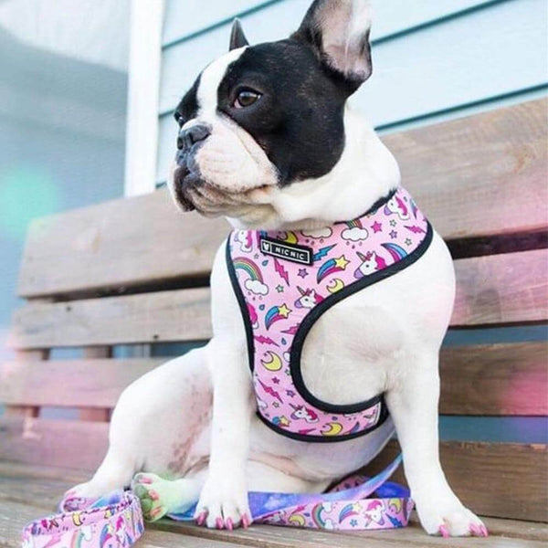 Cartoon Theme Printed Dog No Pull Vest Harness with Leash for Small-Medium Dogs