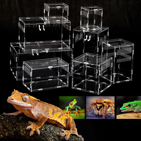 Transparent Acrylic Reptile Breeding Box Various Sizes