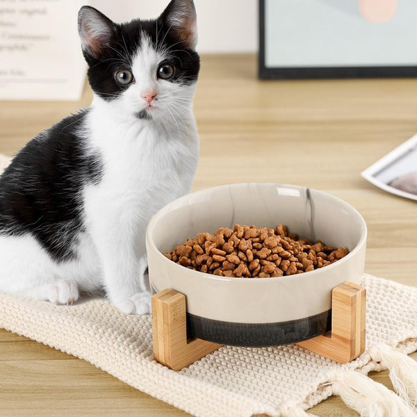 Ceramic Pet Food and Water Bowl Dish with Raised Wood Stand