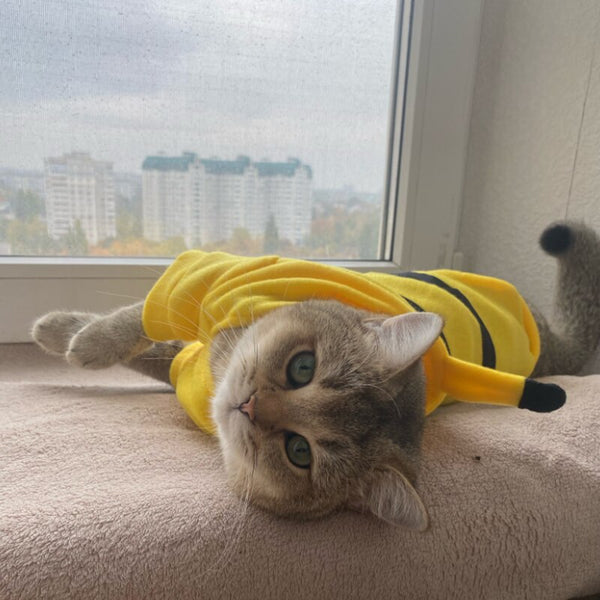 Cute Pikachu Cat Costume Cosplay Kitten Hoodies