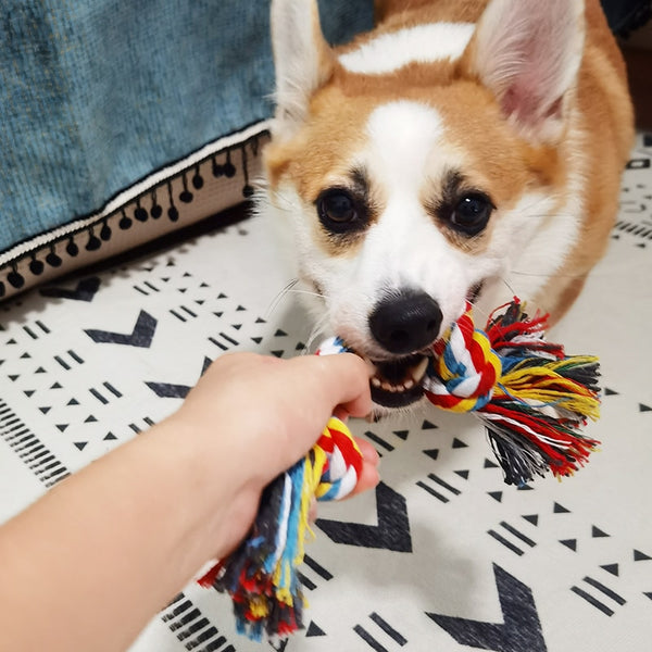 Rugged Braided Rope Knotted Bite, Chewing Toys for Small Dogs