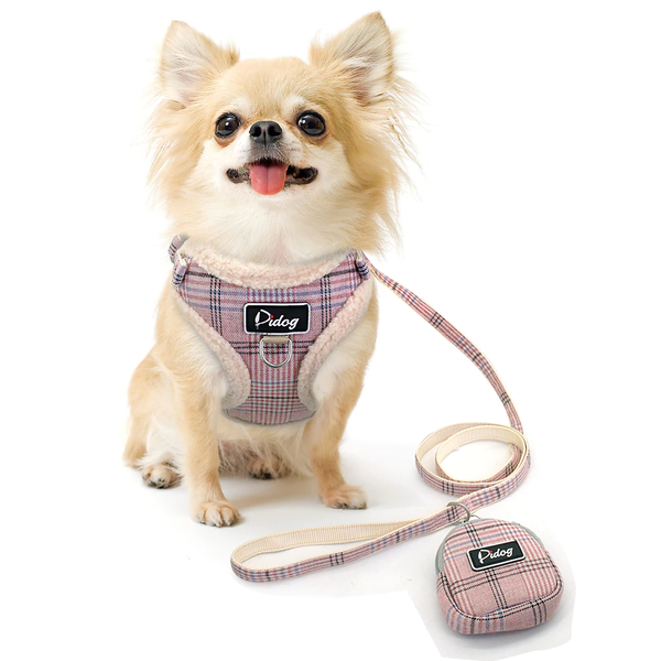 No Pull Harness Vest and Leash on a Pomeranian