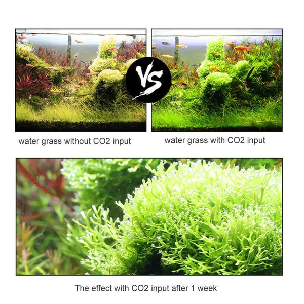 Aquarium CO2 Generator System - Better Growth for Water Plants
