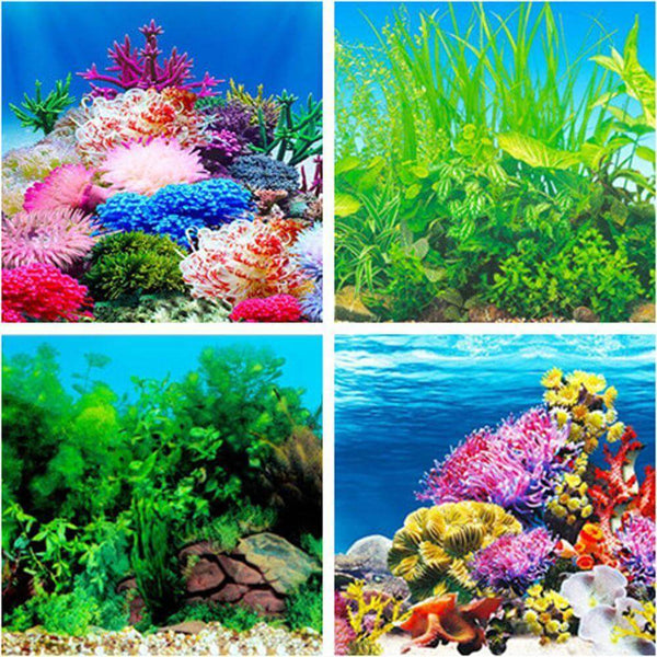 Aquarium Landscape Poster Double-sided Background