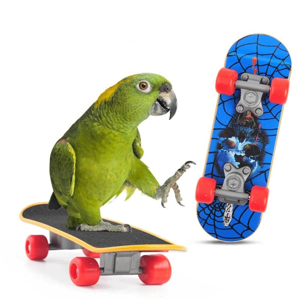 Set Of Bird Training Toy Set Interactive Pet Parrot Equipment Basketball Skateboard
