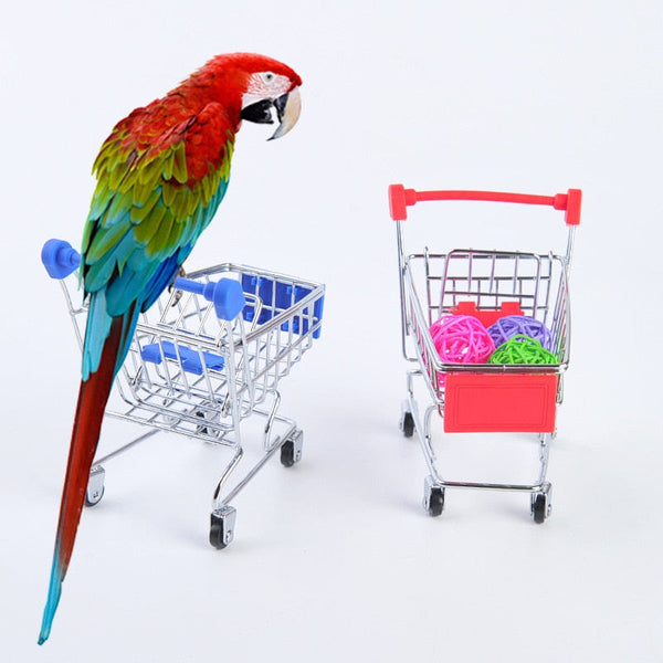 Set Of Bird Training Toy Set Interactive Pet Parrot Equipment Basketball Skateboard