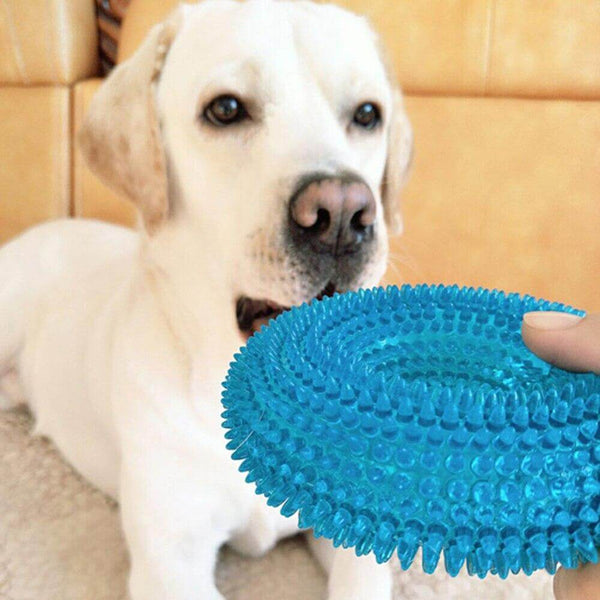 Bite Resistant Chewing Teeth Cleaner Toy for Dogs