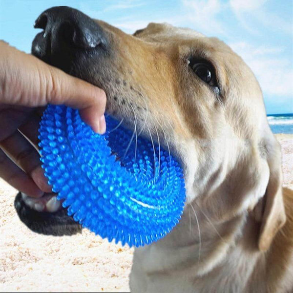 Bite Resistant Chewing Teeth Cleaner Toy for Dogs