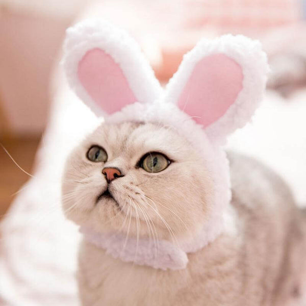 Bunny Ears Hat Costume for Cats
