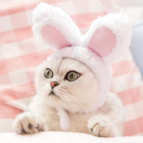 Bunny Ears Hat Costume for Cats