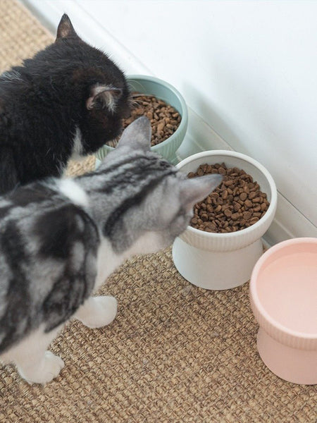 High Foot Cat Food Bowl Stripe Design Pet Food Bowls