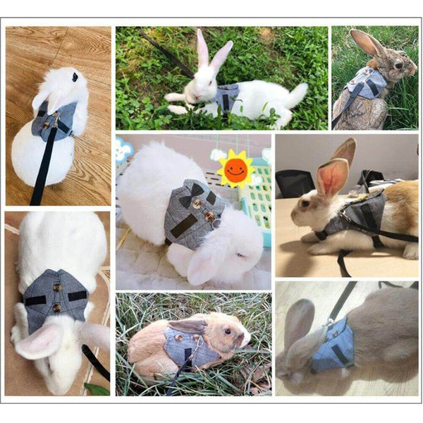 Adjustable Harness Chest Strap Vest with Leash for Small Pets - Bunny