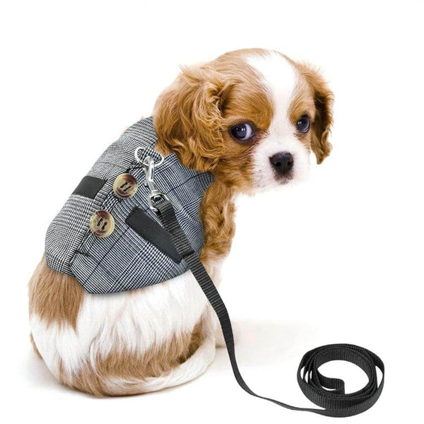Adjustable Harness Chest Strap Vest with Leash for Small Pets - Small Dogs