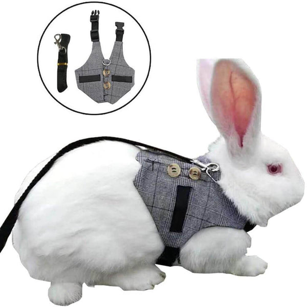 Adjustable Harness Chest Strap Vest with Leash for Small Pets