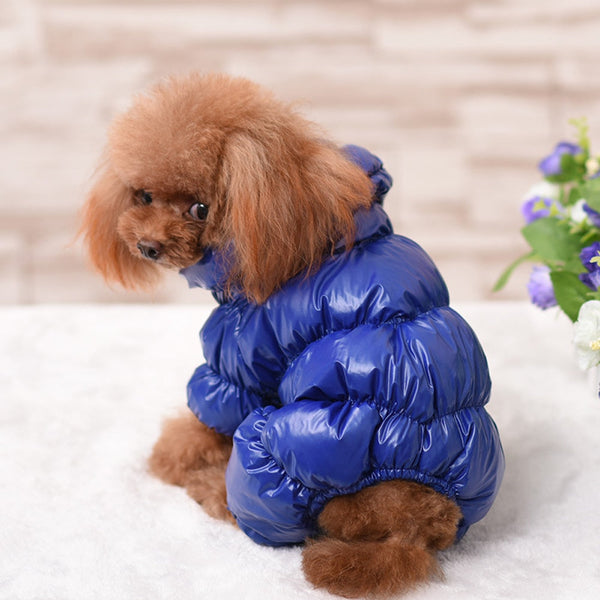 Dogs Designer Retro Jacket Warm Winter Clothes For Puppy
