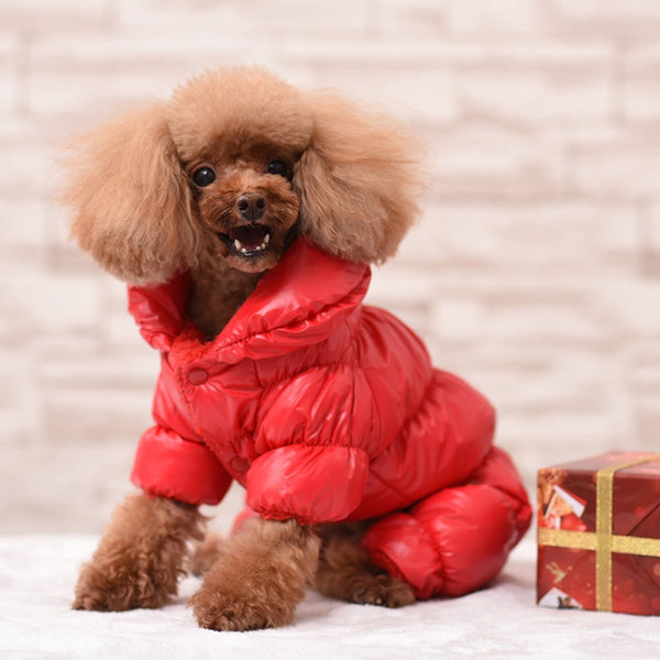 Dogs Designer Retro Jacket Warm Winter Clothes For Puppy