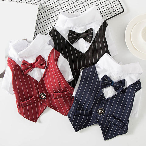 Gentleman Wedding Suit Formal Wear Costume For Small Dogs, Cats