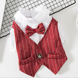 Gentleman Wedding Suit Formal Wear Costume For Small Dogs, Cats