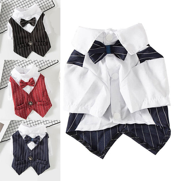 Gentleman Wedding Suit Formal Wear Costume For Small Dogs, Cats