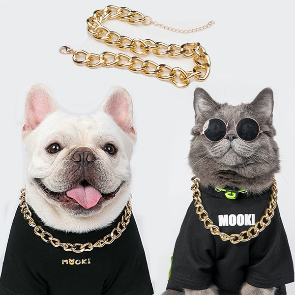 Golden Color Necklace for Dogs, Cats