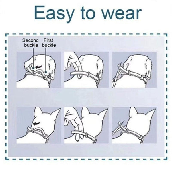 Insect Prevention Collar for Cats and Dogs, Adjustable Small-Large Size - Easy To Wear and Use