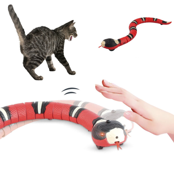 Interactive Cat Toys Automatic Electronic Snake Teasing USB Rechargeable Kitten Toy