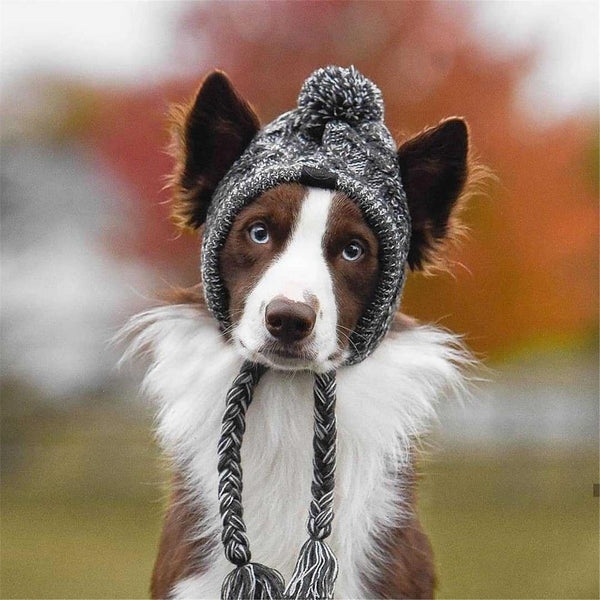 Knitted Warm Winter Windproof Dogs Hat