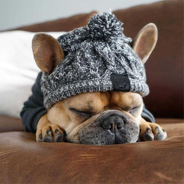 Knitted Warm Winter Windproof Dogs Hat