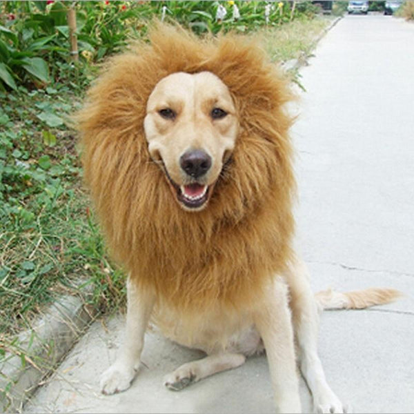 Lion Mane Costume for Dogs Photo Prop Accessories