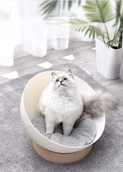 Cat Bed with Washable Velvet Cushion Enclosed Premium Pet Bed Modern, Decorative Design