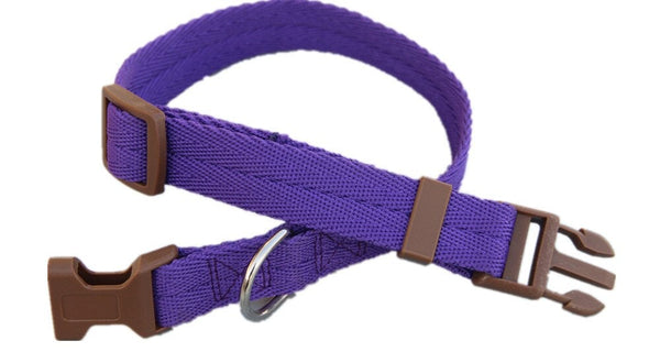 Multicolor Adjustable Dog Collar S-XL Size