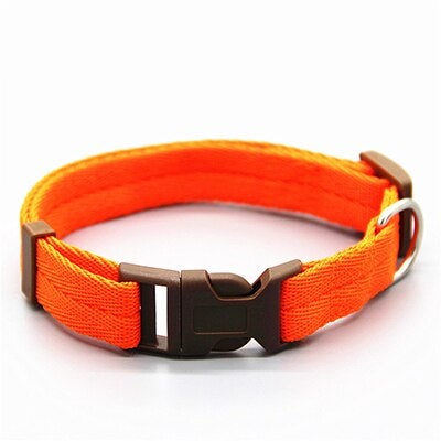 Multicolor Adjustable Dog Collar S-XL Size