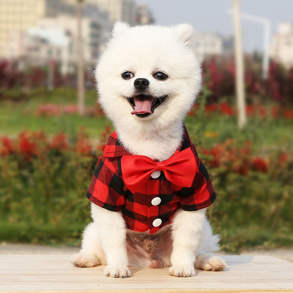 Plaid Striped Shirt Suit with Bow Tie Puppy Dress for Small-Medium Size Dog, Cat