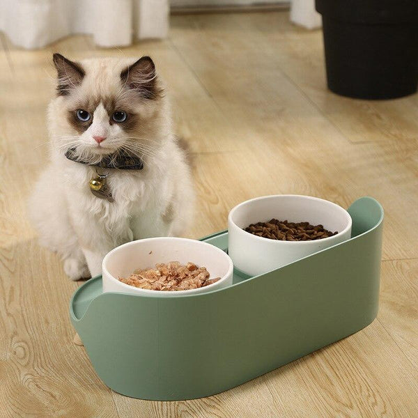 Elevated Dog & Cat Bowl Raised Pet Dish with Ceramic Bowls, No-Skid Silicone Mat