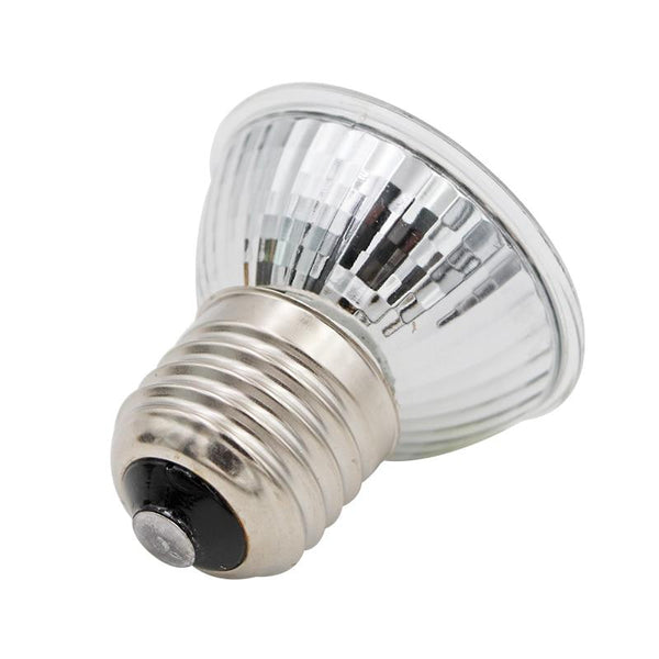 Reptile Heat Lamp Bulb