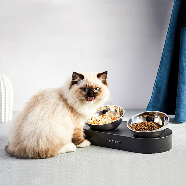 Stainless Steel Double Bowl 15 Degree Adjustable Pet Food and Water Bowl - For Cats