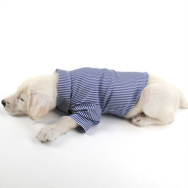 Stripe Dog Long-Sleeve Shirt Elegant Pet Clothing Fashion Red, Blue Color