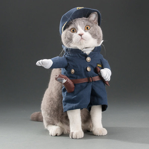 Various Cosplay Dresses for Cats: Pirate, Musician, Nurse, Policeman