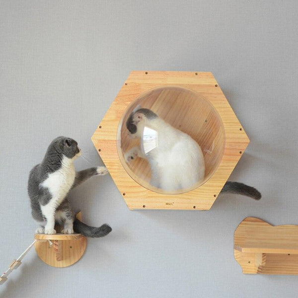 DIY Wall Mounted Climbing Frame Cat Tree Lookout Capsule Play House Cave