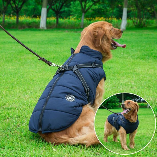 Waterproof Jacket for Dogs with Integrated Vest Harness